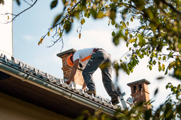 Best Roof Maintenance Services  in Shawneetown, IL