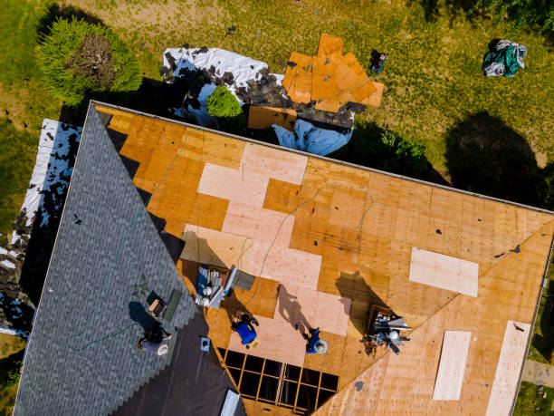 Best Roof Maintenance Services  in Shawneetown, IL